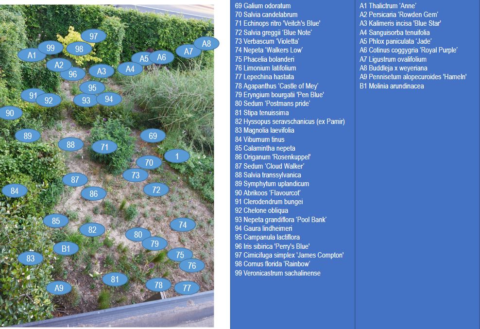 2020-05-14 21_09_25-nectartuin - Google Slides