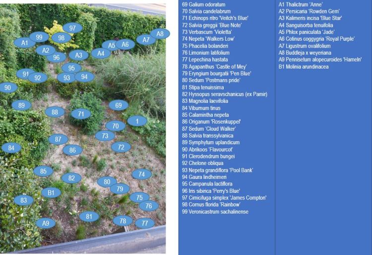 2020-05-14 21_09_25-nectartuin - Google Slides