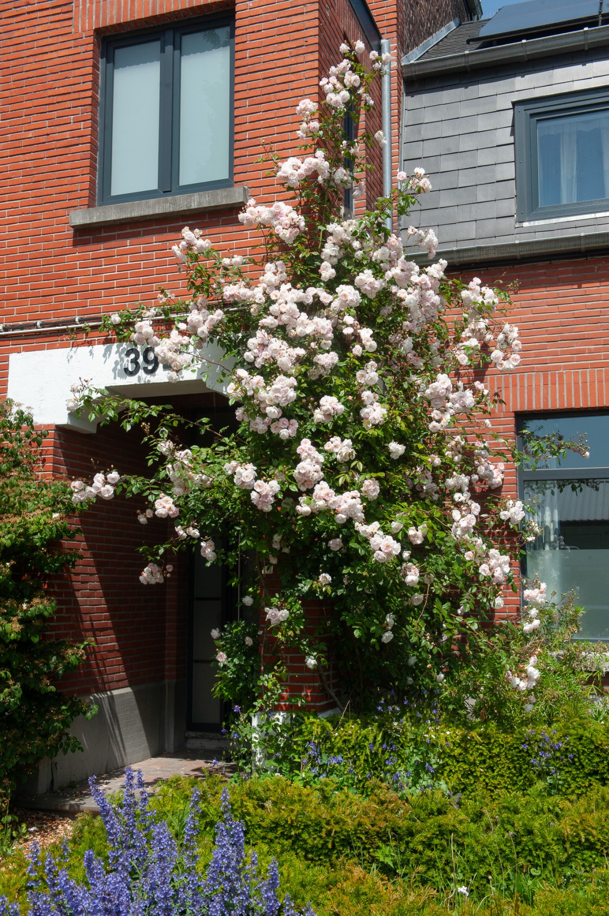 Voortuin